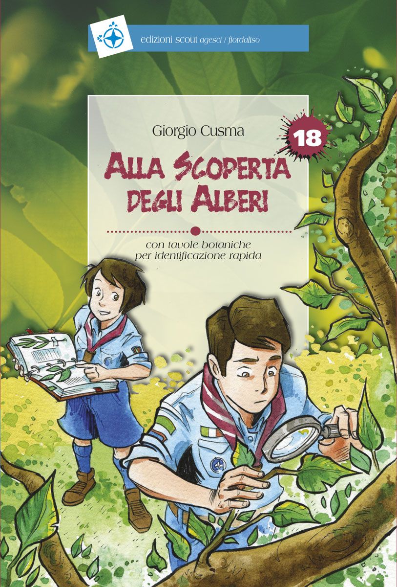 Alla scoperta degli alberi