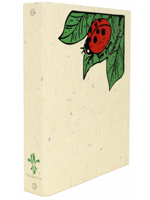 Quaderno di Volo "Coccinella"